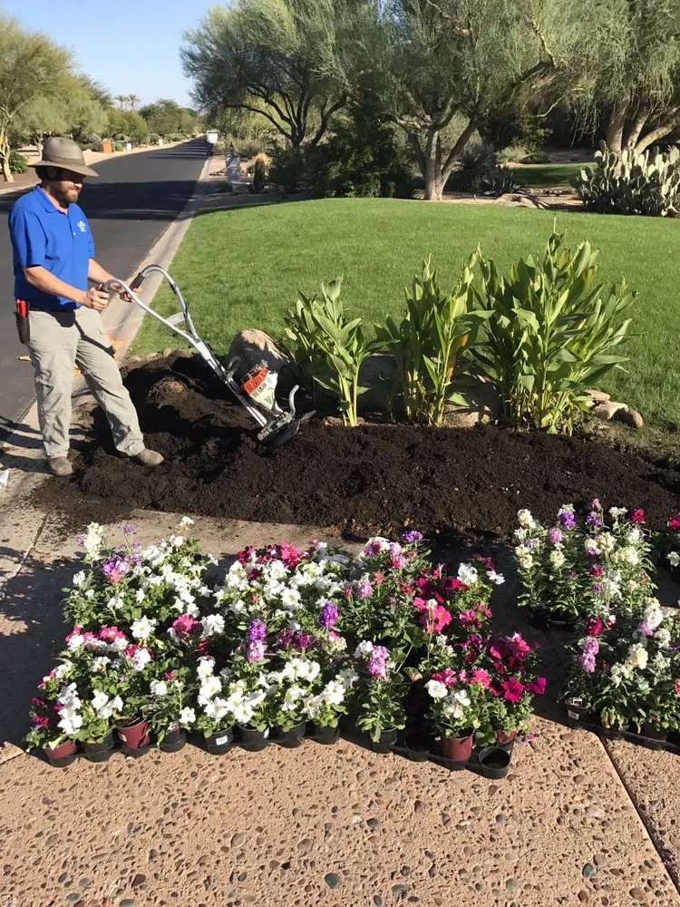 Affordable outdoor landscaping in Apache Junction, AZ by Yard Doctors