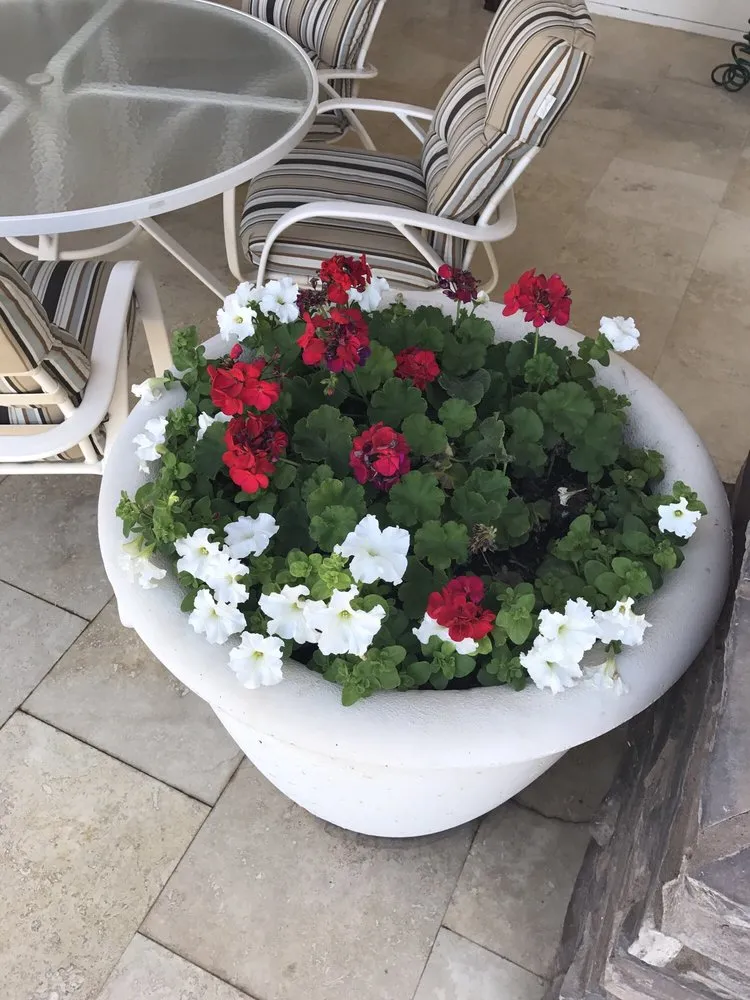 Trusted outdoor landscaping experts serving Apache Junction, AZ - Yard Doctors