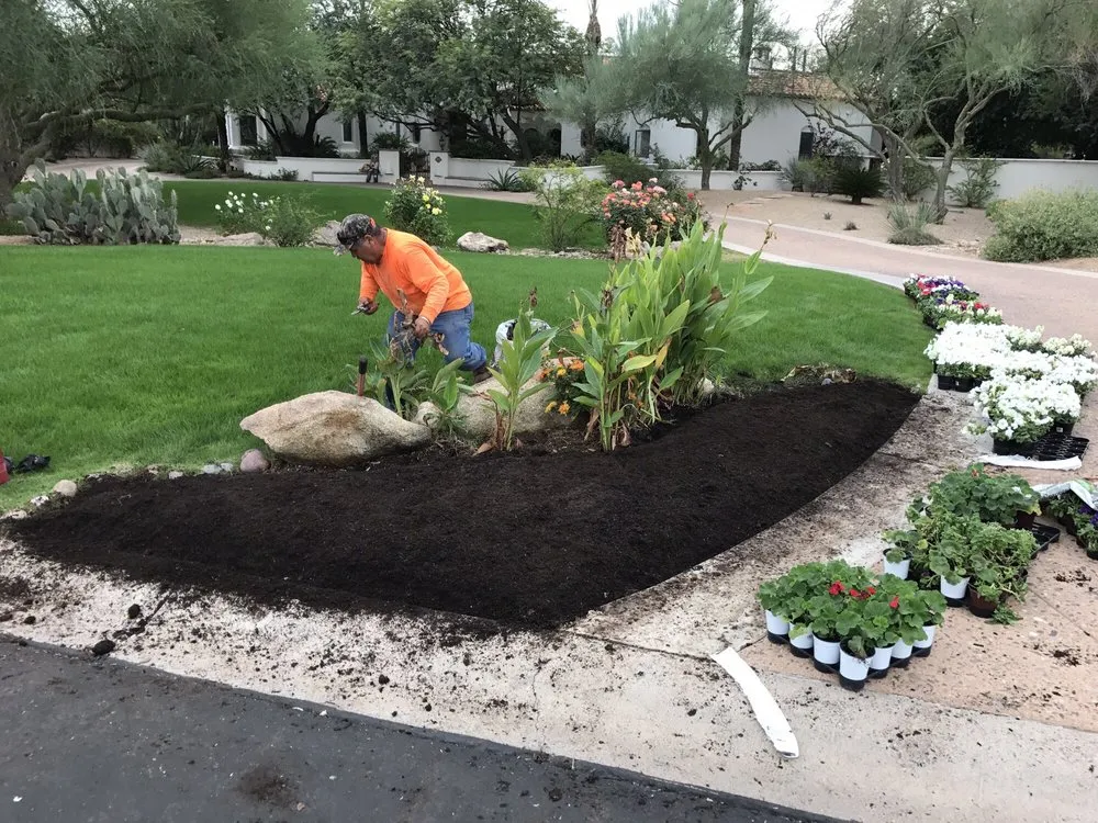 Professional landscape design for year-round maintenance in Apache Junction, AZ by Yard Doctors