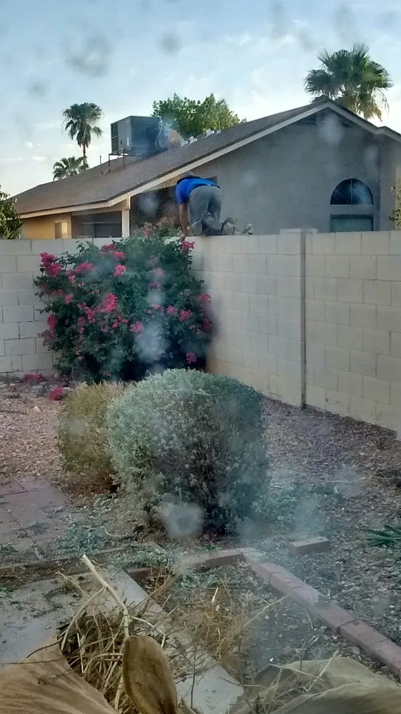 Trusted yard maintenance for year-round maintenance in Apache Junction, AZ by Yard Doctors