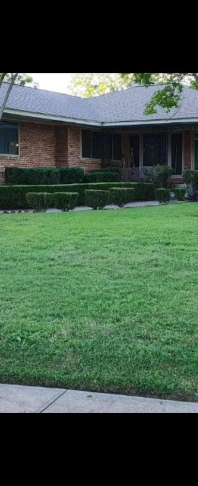 Affordable outdoor landscaping experts serving Dallas, TX - Yard Doctors