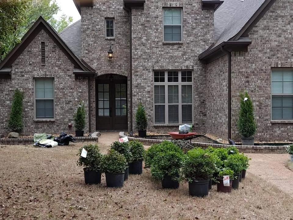 Affordable lawn mowing service in Dallas, TX by Yard Doctors