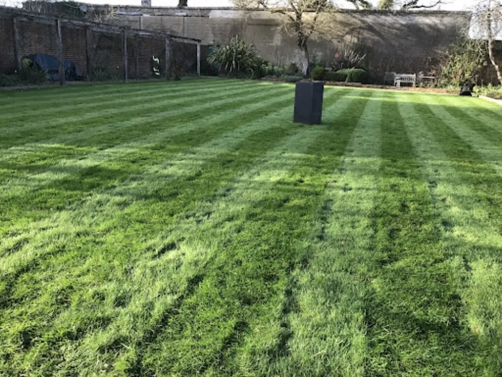 Expert landscape design with custom design across Edinburgh, IN - Yard Doctors