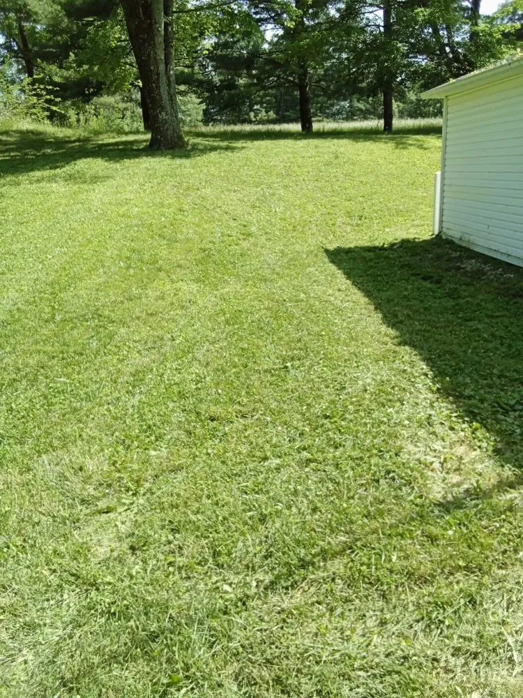 Expert landscape design in Edinburgh, IN - Yard Doctors