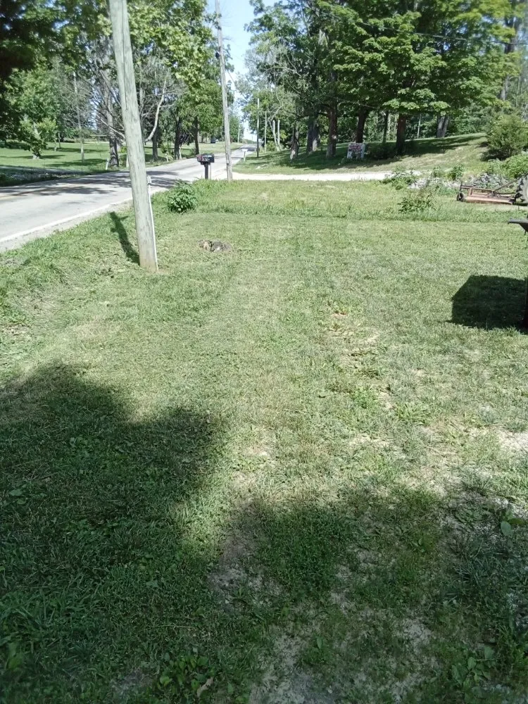 Affordable garden landscaping in Edinburgh, IN by Yard Doctors