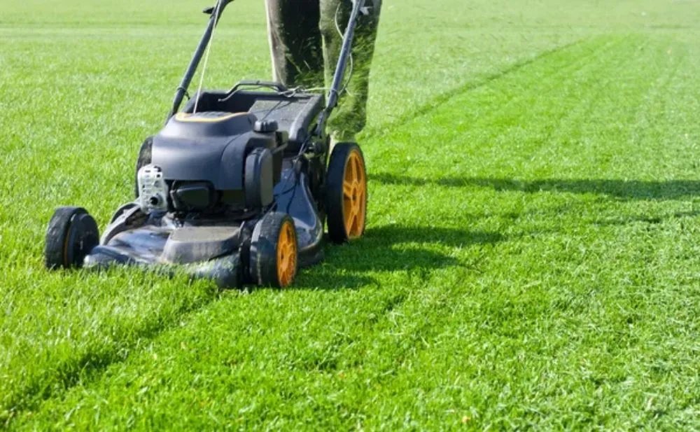Affordable lawn care service for homes across Edinburgh, IN - Yard Doctors