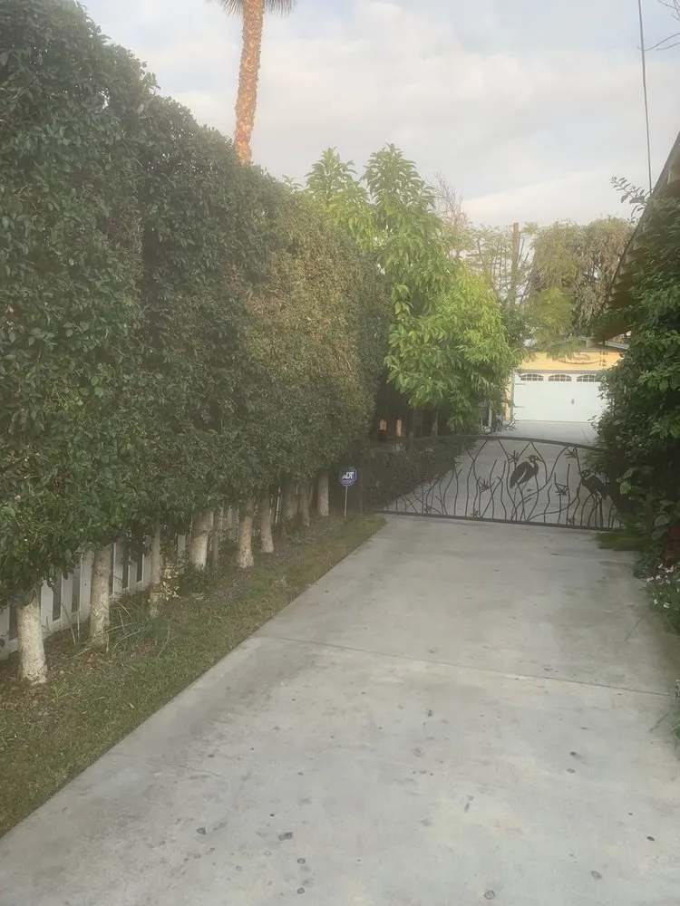 Expert lawn mowing service in Long Beach, CA by Yard Doctors