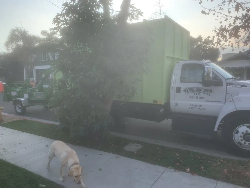 Affordable lawn mowing service for homes in Long Beach, CA by Yard Doctors