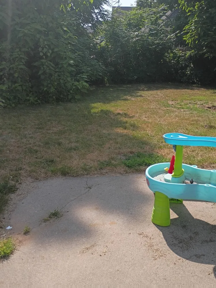 Affordable lawn care service for outdoor upgrades in Grand Rapids, MI by Yard Dog Landscaping an Lawn Care