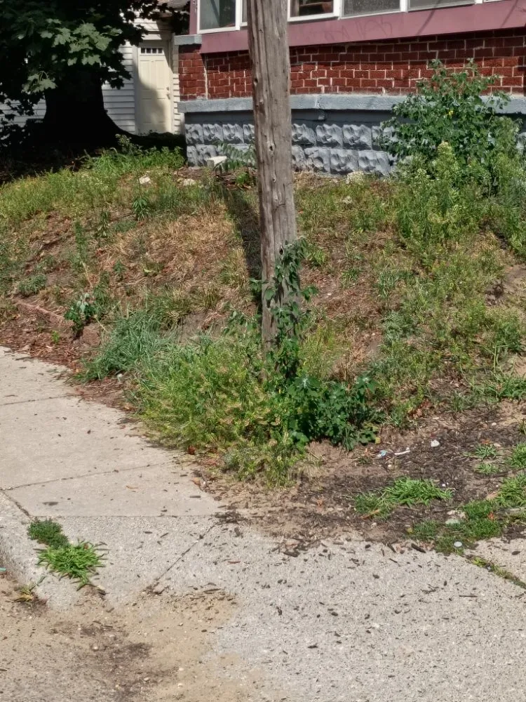 Custom garden landscaping in Grand Rapids, MI - Yard Dog Landscaping an Lawn Care