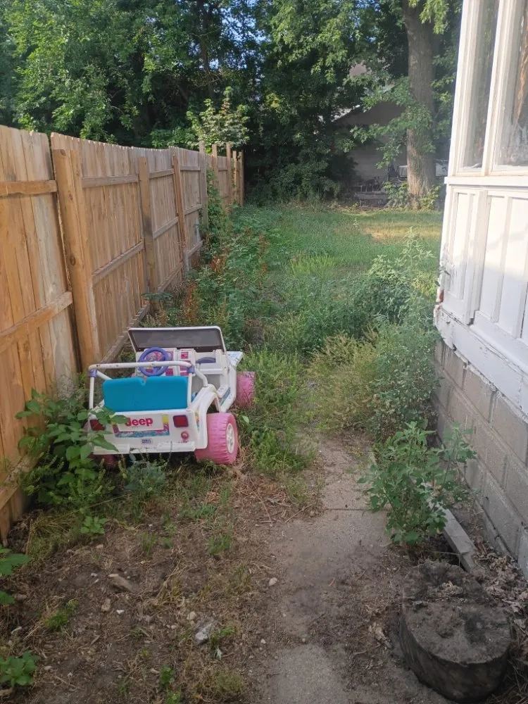 Professional lawn mowing service in Grand Rapids, MI - Yard Dog Landscaping an Lawn Care