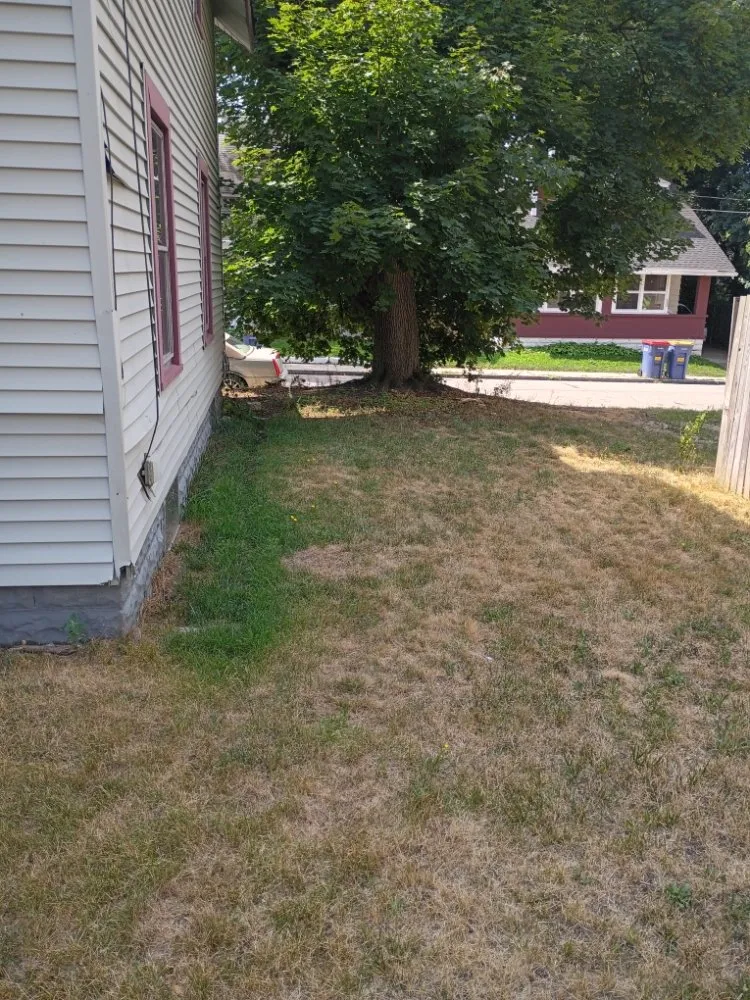 Trusted landscaping services in Grand Rapids, MI - Yard Dog Landscaping an Lawn Care