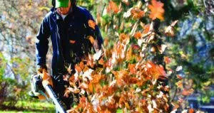 Local yard maintenance for year-round maintenance across Spotsylvania, VA - Yard Dog Landscaping