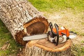 Professional lawn care service in Spotsylvania, VA by Yard Dog Landscaping