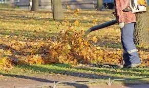 Top-rated lawn care service experts serving Spotsylvania, VA - Yard Dog Landscaping