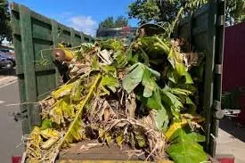 Top-rated lawn mowing service for outdoor upgrades in Spotsylvania, VA by Yard Dog Landscaping