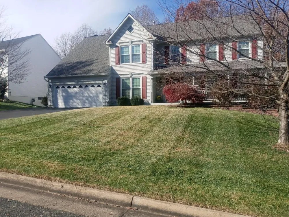 Top-rated yard maintenance in Spotsylvania, VA - Yard Dog Landscaping