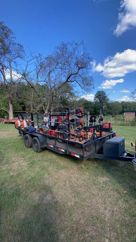 Expert lawn care service in Gladewater, TX by Yard Dog Lawn & Lights