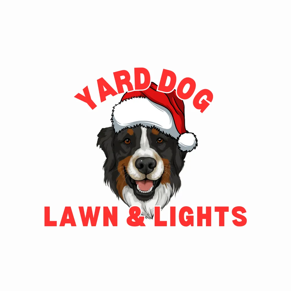 Reliable lawn care service experts serving Gladewater, TX - Yard Dog Lawn & Lights