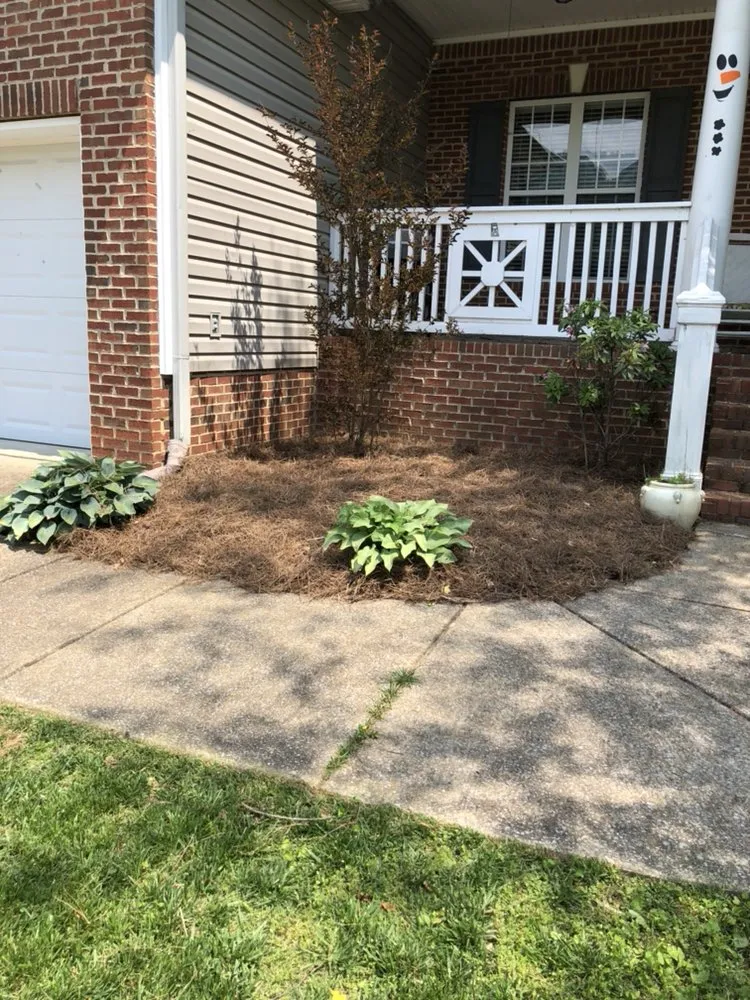 Expert yard cleanup service in Chattanooga, TN by Yard Dogs Landscaping and Lawn Care