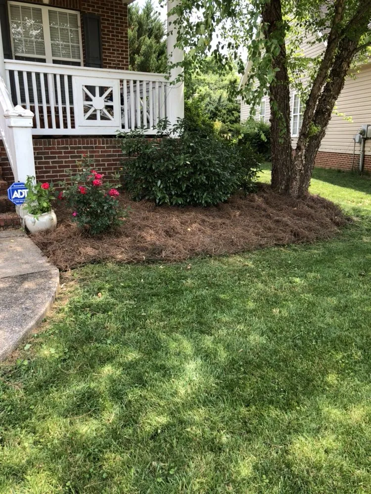 Expert garden landscaping near you across Chattanooga, TN - Yard Dogs Landscaping and Lawn Care