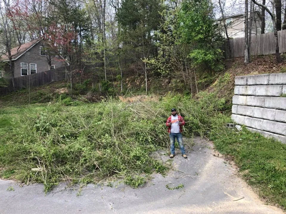 Affordable landscape design in Chattanooga, TN by Yard Dogs Landscaping and Lawn Care