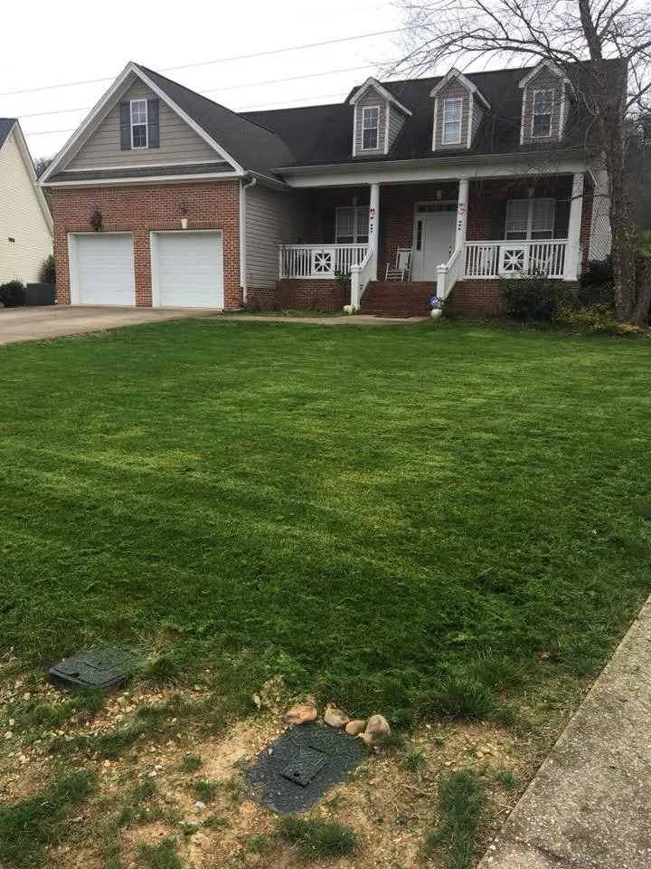Top-rated lawn care service experts serving Chattanooga, TN - Yard Dogs Landscaping and Lawn Care