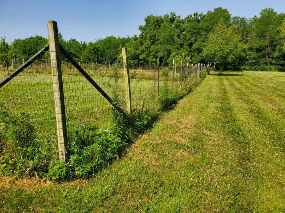 Professional yard maintenance in Marseilles, IL - Yard Dogs