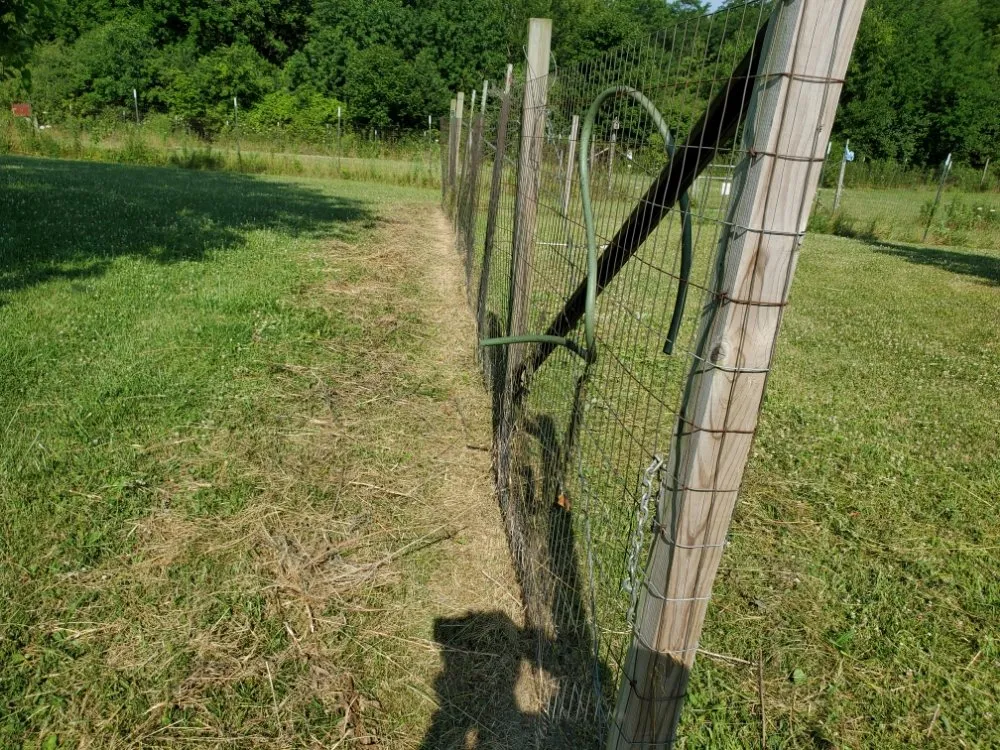 Affordable lawn mowing service for outdoor upgrades in Marseilles, IL by Yard Dogs