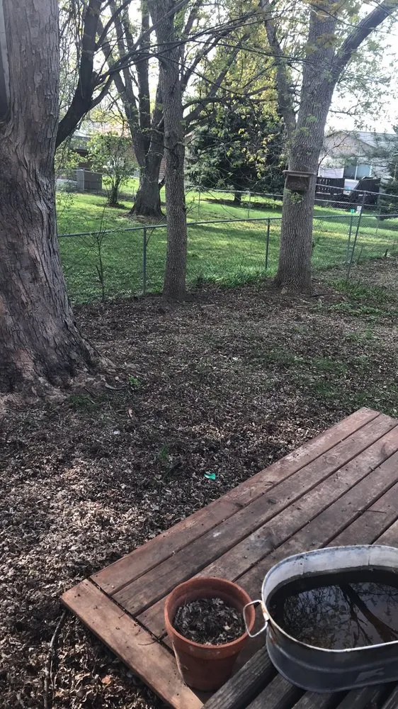 Local lawn care service experts serving Dell Rapids, SD - Yard Dogs USA