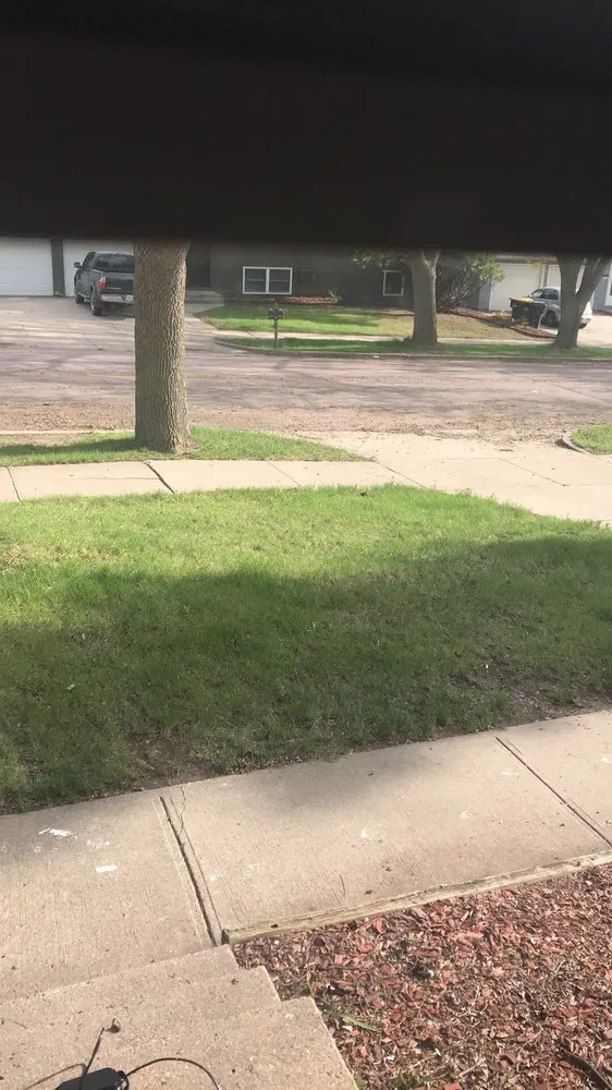 Affordable yard cleanup service in Dell Rapids, SD by Yard Dogs USA