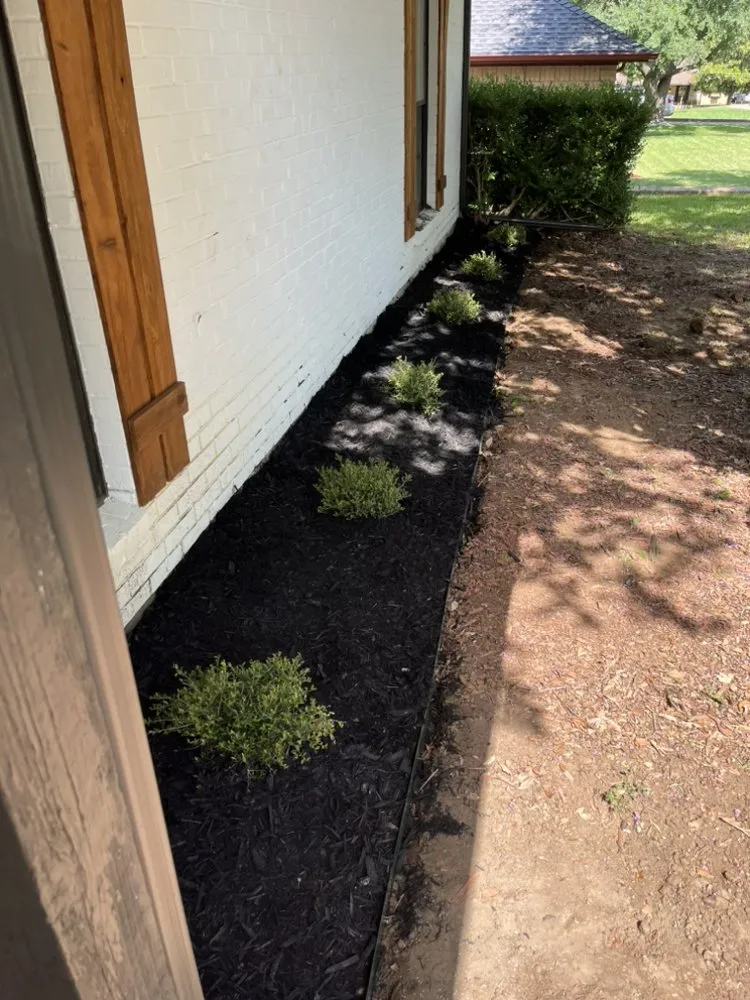 Local landscape design in Whitesboro, TX - Yard Dogs