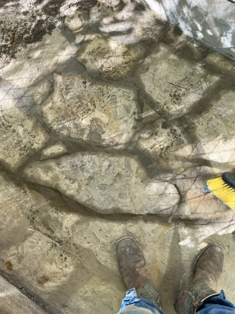 Trusted yard maintenance in Whitesboro, TX by Yard Dogs