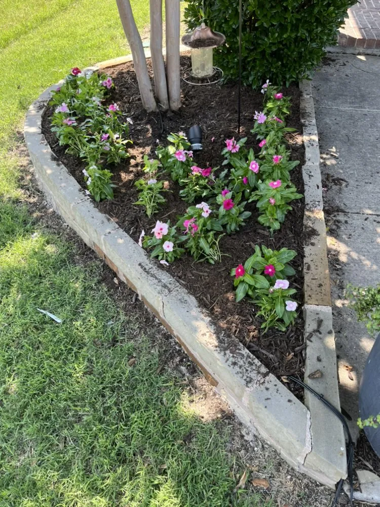 Reliable outdoor landscaping in Whitesboro, TX - Yard Dogs