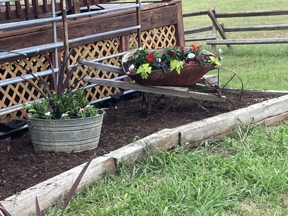 Expert yard maintenance experts serving Whitesboro, TX - Yard Dogs