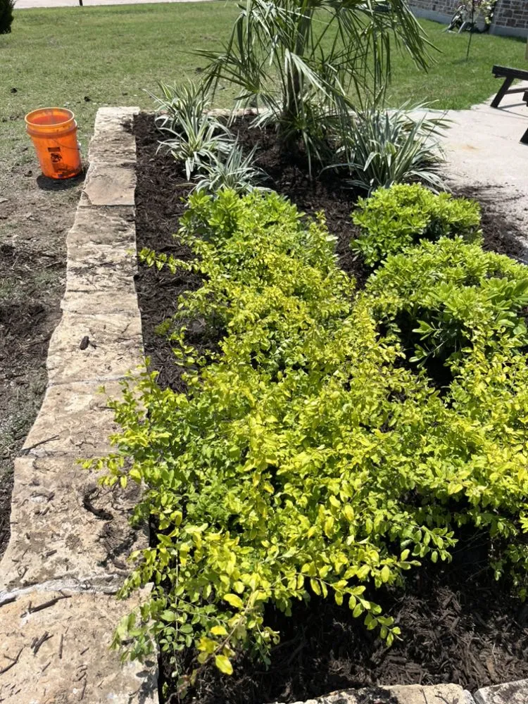 Custom landscape design in Whitesboro, TX by Yard Dogs