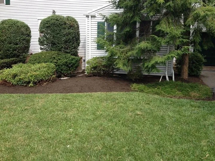 Top-rated landscape design in South River, NJ by Yard Doktor