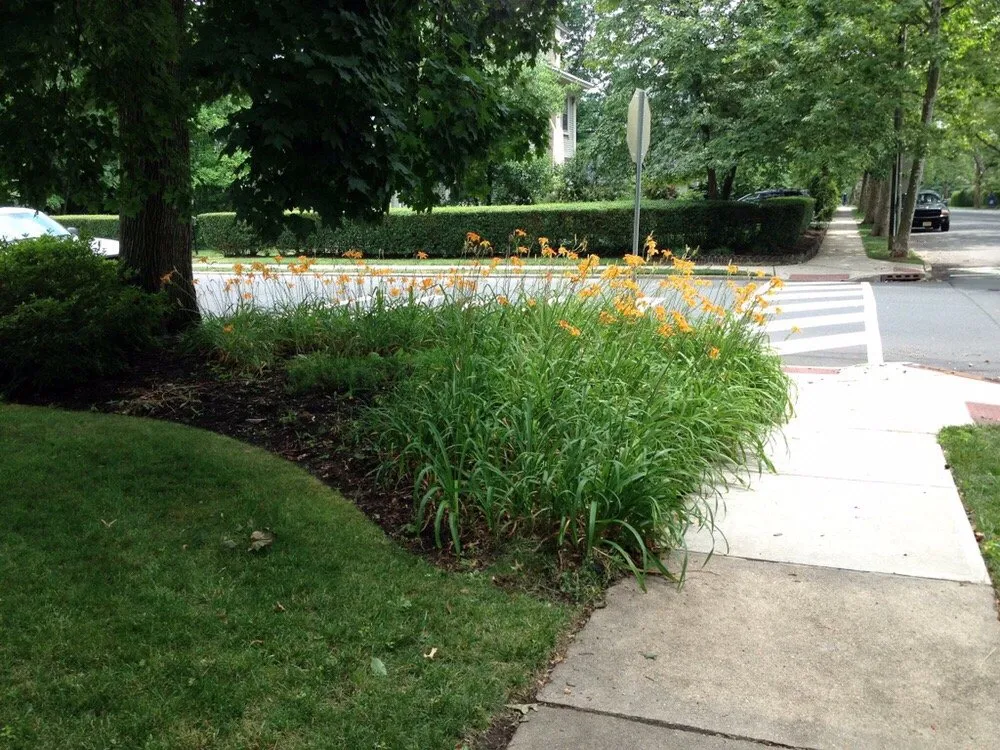 Local landscape design for residential properties across South River, NJ - Yard Doktor