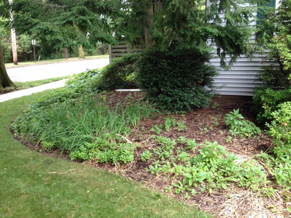 Professional lawn mowing service in South River, NJ - Yard Doktor