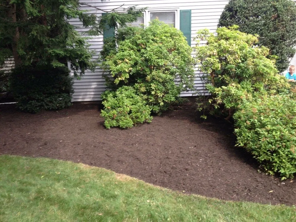 Local landscape installation in South River, NJ - Yard Doktor