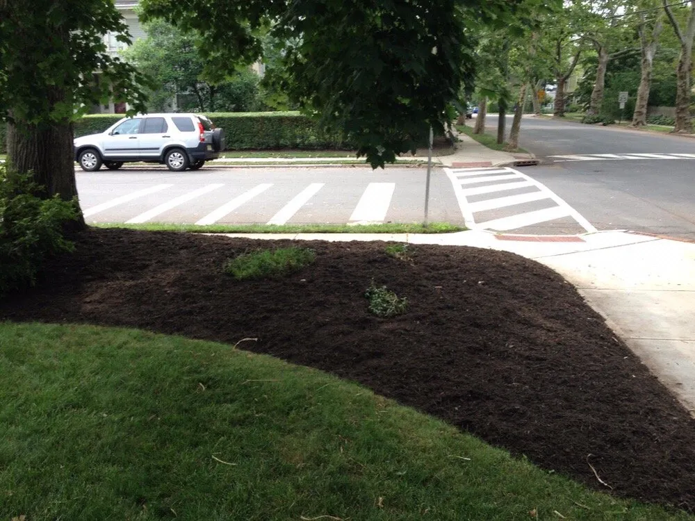 Affordable landscape design in South River, NJ by Yard Doktor