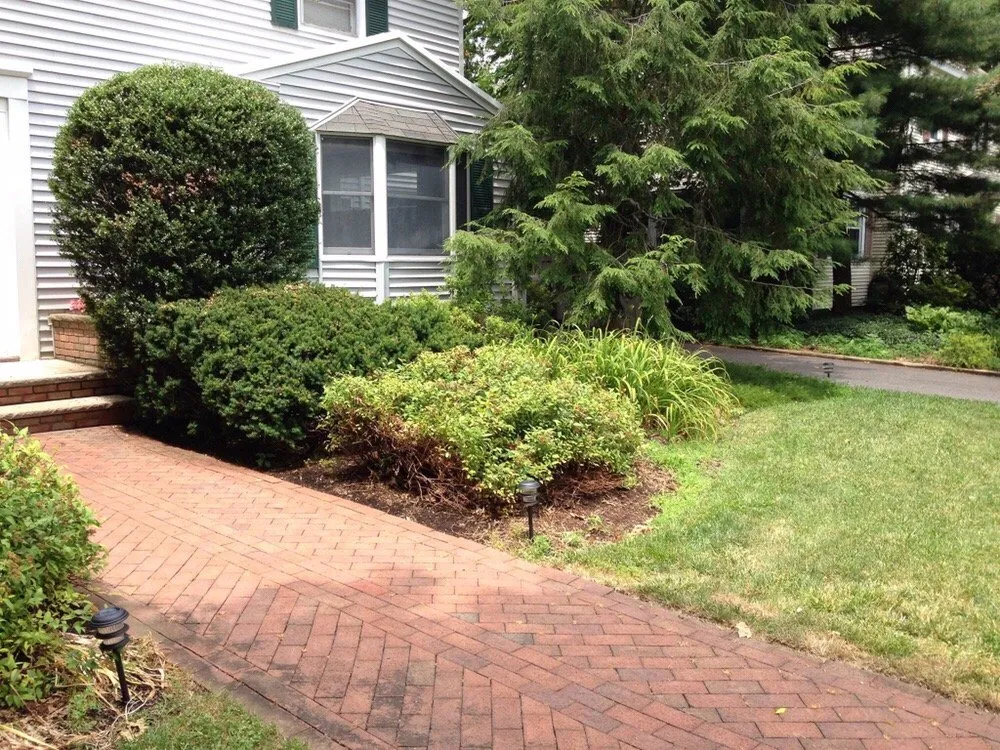Local landscape design in South River, NJ by Yard Doktor