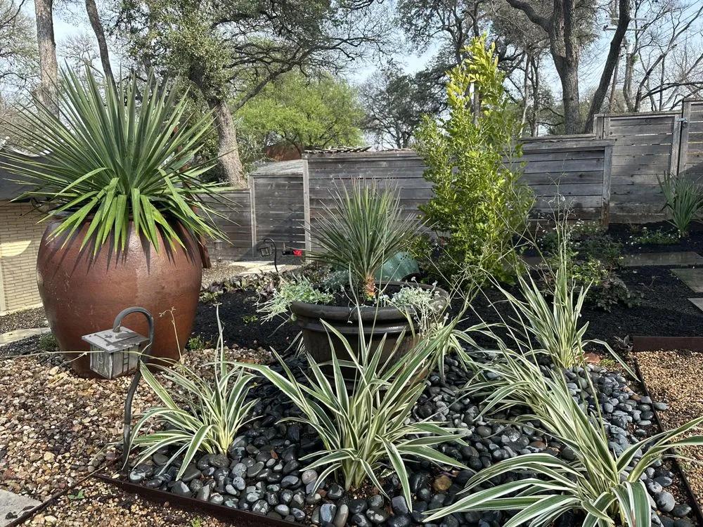 Professional outdoor landscaping in Austin, TX - Yard Dreams