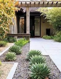 Expert yard maintenance for homes in Austin, TX by Yard Dreams