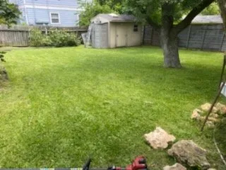 Professional yard cleanup service in Austin, TX - Yard Ease