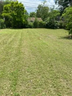 Reliable landscaping services in Austin, TX by Yard Ease