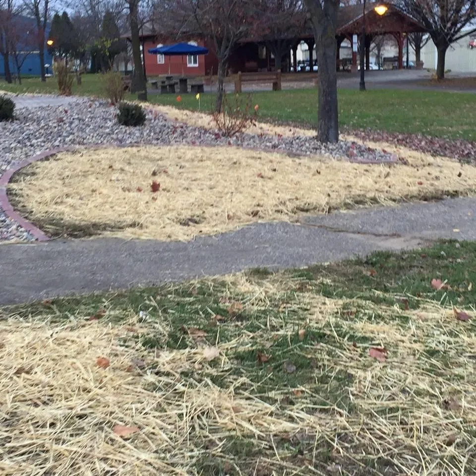 Local landscaping services experts serving Elroy, WI - Yard Effects Landscaping