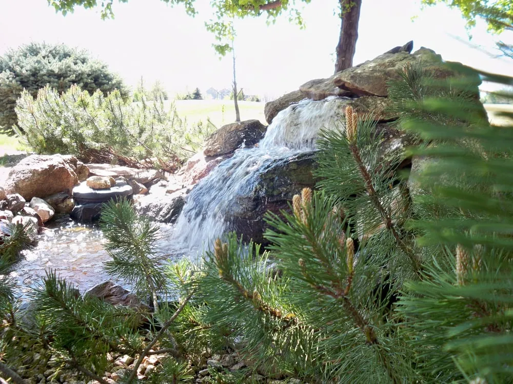 Expert landscaping services experts serving Fort Collins, CO - Yard Elves