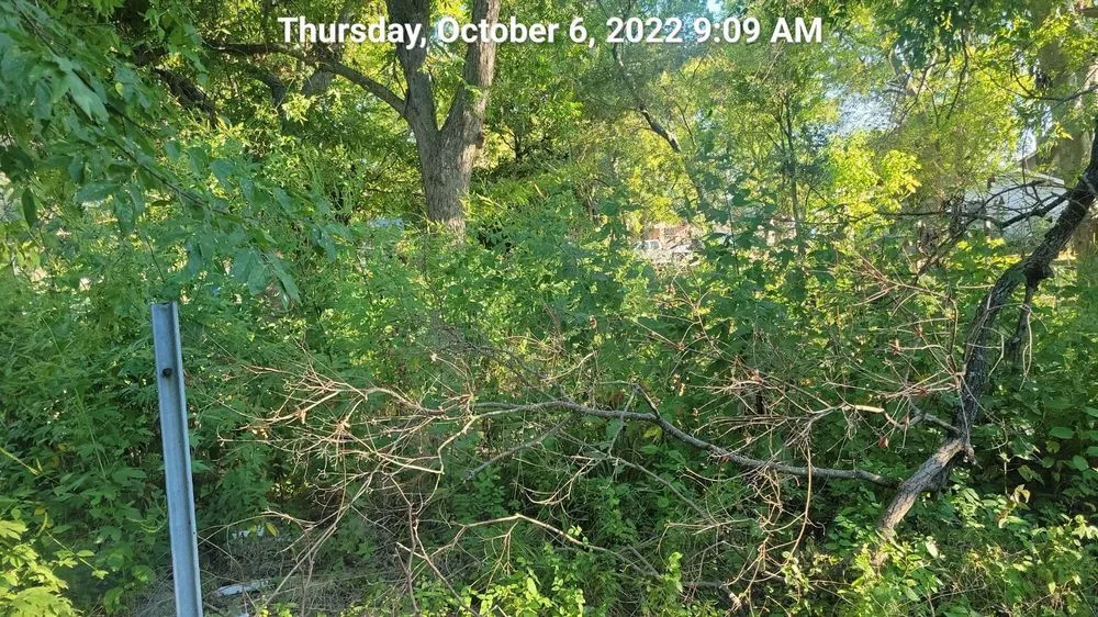 Affordable residential landscaping for outdoor upgrades in La Marque, TX by Yard Excellence