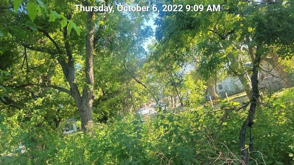 Affordable outdoor landscaping in La Marque, TX - Yard Excellence